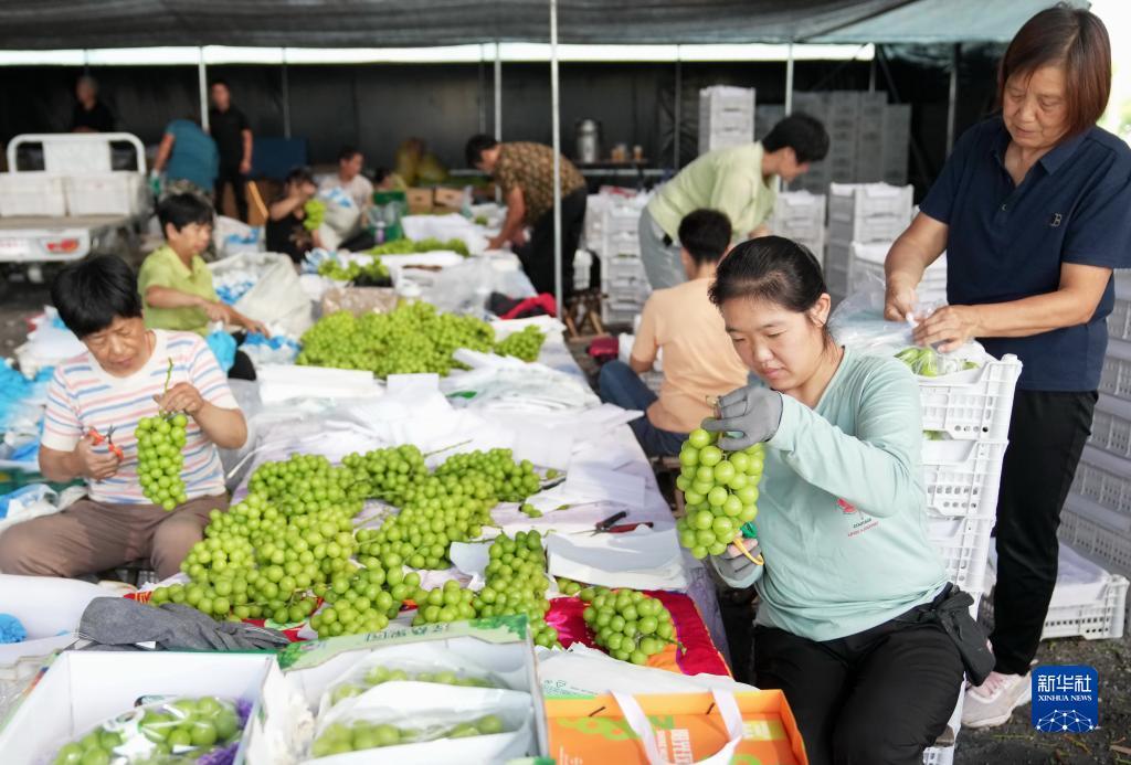 威尼斯人线路